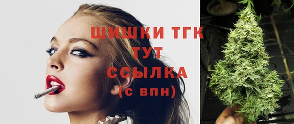 ешки Бородино