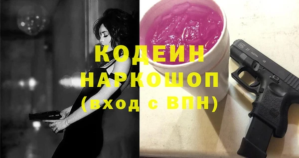 ешки Бородино