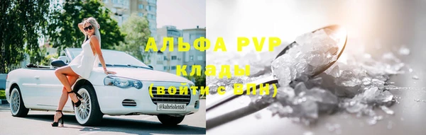 ешки Бородино