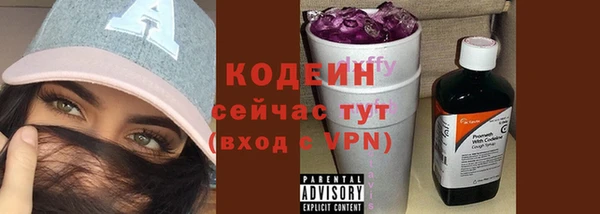ешки Бородино