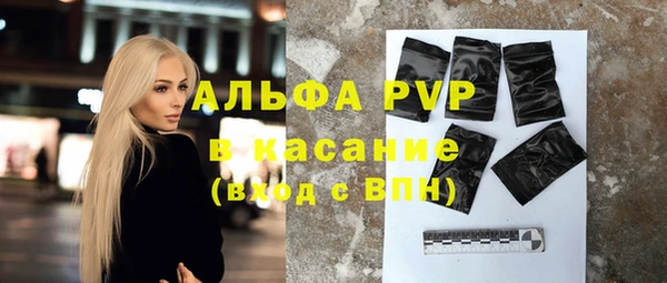 ешки Бородино